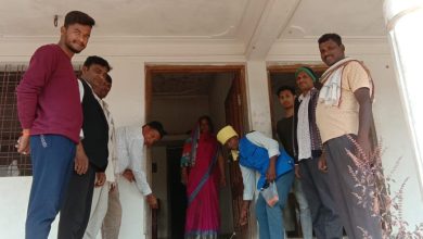 Yellow Rice Invitation