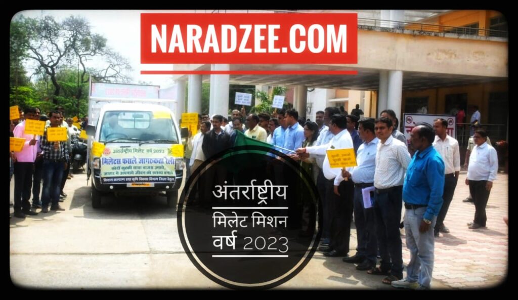 WORLD MILLET MISSION YEAR