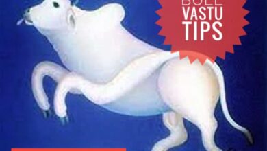 Bull Vastu Tips