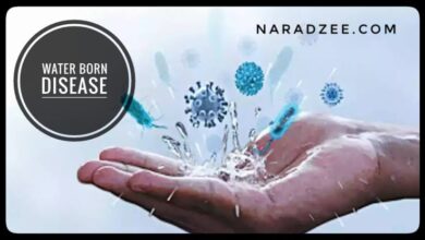 water born diseases symptoms
