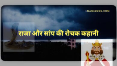 GOOD BEHAVIOR STORY OF KING