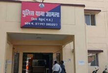 Amla News young amla